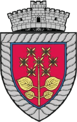 Primăria Sânger – ZERO comunicare cu publicul! Primăria Sânger – ZERO comunicare cu publicul!