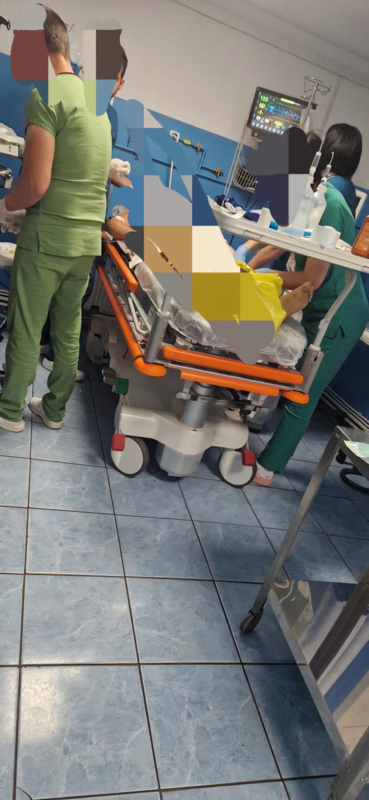 ORIBIL! Luduseanca RUPTA de cainii patronului ORIBIL! Luduseanca RUPTA de cainii patronului