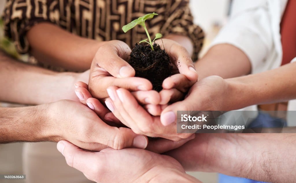 Prietenia, o legătură care se cultivă – 30 iulie, Ziua Internațională a Prieteniei Prietenia, o legătură care se cultivă – 30 iulie, Ziua Internațională a Prieteniei