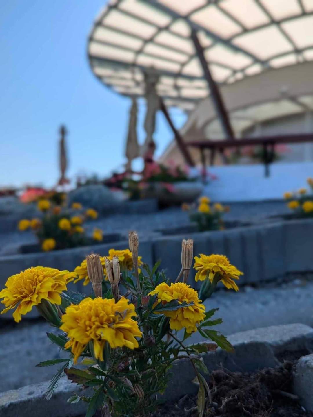 Hai la ștrand! Hai la ștrand!