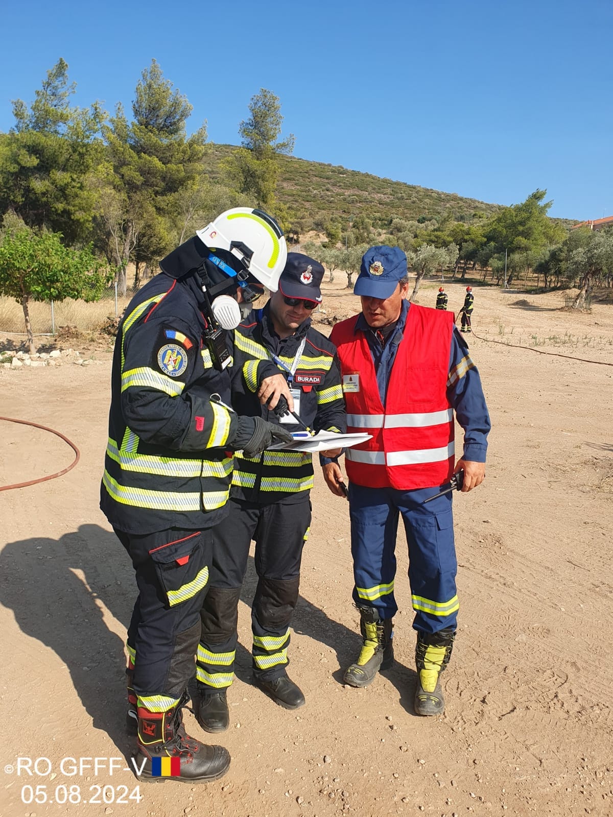 Incendiu de vegetație în localitatea Grebenișu de Câmpie Incendiu de vegetație în localitatea Grebenișu de Câmpie