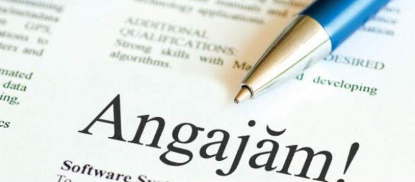 💼 Locuri de muncă Mureș – Ce oferte sunt disponibile în județ în 2025?