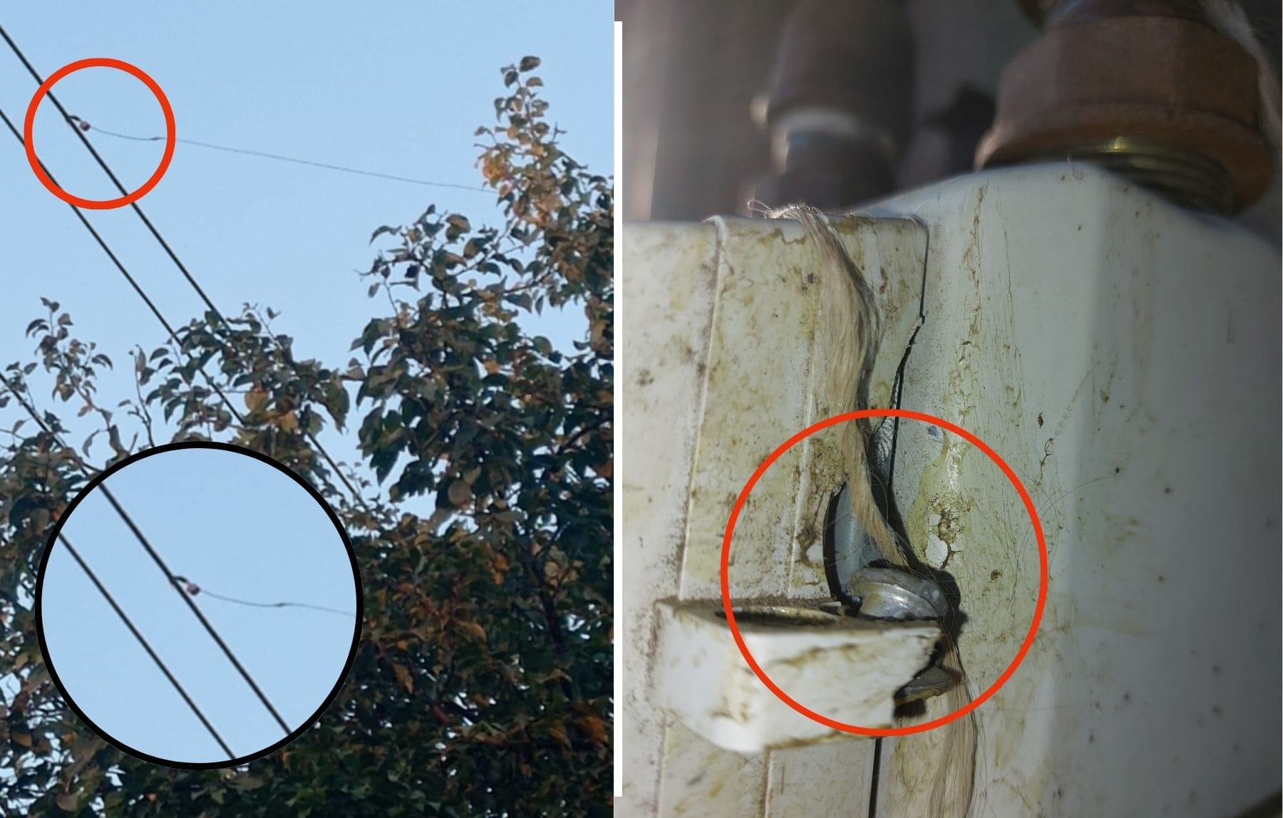Peste 1.000 de cazuri de consum fraudulos de gaze naturale și energie electrică identificate în primele 9 luni din 2024 Peste 1.000 de cazuri de consum fraudulos de gaze naturale și energie electrică identificate în primele 9 luni din 2024