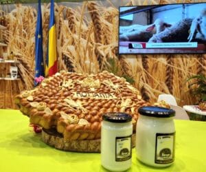 🔸Descoperiți gustul autentic al tradiției din Transilvania! 🐑🥛 🔸Descoperiți gustul autentic al tradiției din Transilvania! 🐑🥛