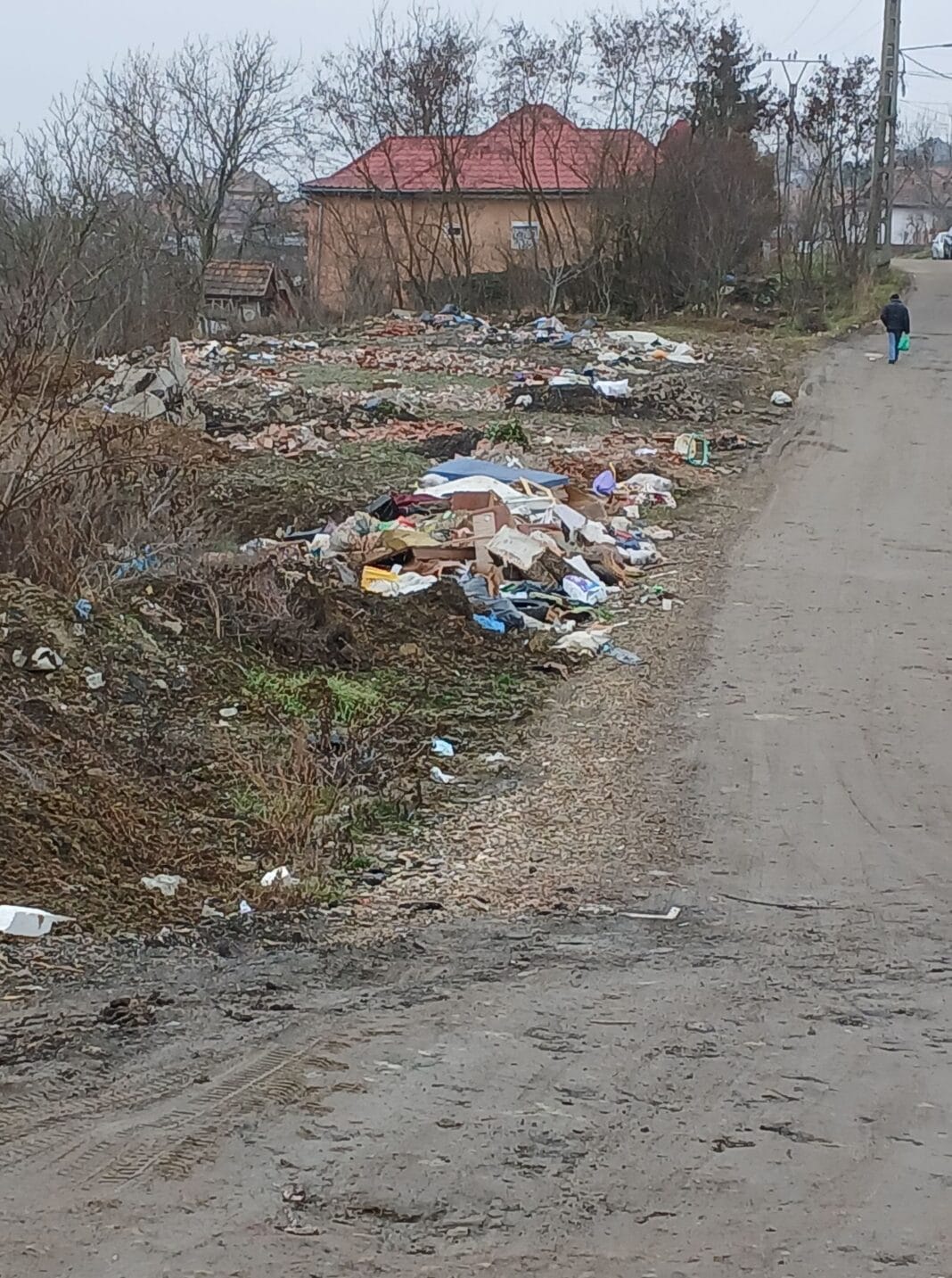 Luduș, 2025 – oraș european! Luduș, 2025 – oraș european!