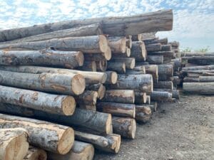 Oportunitate pentru cetățenii din Zau de Câmpie Oportunitate pentru cetățenii din Zau de Câmpie