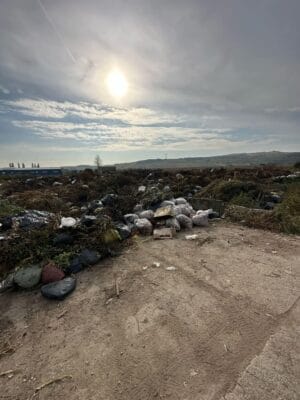 🌿 Curățenia de primăvară? Doar unde dă bine în poze! 📸 🌿 Curățenia de primăvară? Doar unde dă bine în poze! 📸
