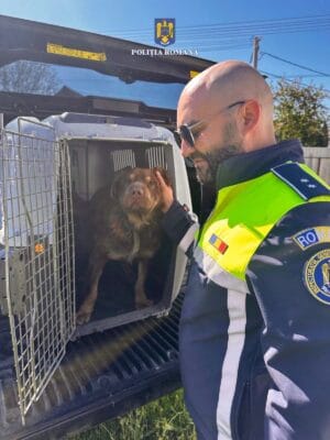 SANCȚIONAT DE POLIȚIȘTII BIROULUI PENTRU PROTECȚIA ANIMALELOR MUREȘ, PENTRU ABANDONUL UNUI EXEMPLAR CANIN SANCȚIONAT DE POLIȚIȘTII BIROULUI PENTRU PROTECȚIA ANIMALELOR MUREȘ, PENTRU ABANDONUL UNUI EXEMPLAR CANIN