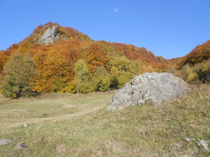 Haideți să-i ajutăm pe antreprenorii din Praid!!!