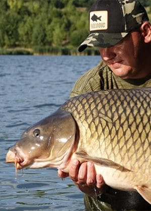 📢 INFORMARE IMPORTANTĂ PENTRU PESCARI – HOTĂRÂRE A CONSILIULUI DIRECTOR AJVPS MUREȘ 🎣 📢 INFORMARE IMPORTANTĂ PENTRU PESCARI – HOTĂRÂRE A CONSILIULUI DIRECTOR AJVPS MUREȘ 🎣