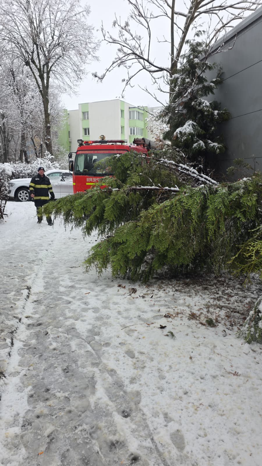 Iarna a facut PRAPAD in judetul Mures