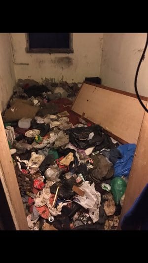 Nenorocire în două blocuri din Reghin. 20 de ani de mizerie, șobolani și nepăsare, până când cineva a spus STOP Nenorocire în două blocuri din Reghin. 20 de ani de mizerie, șobolani și nepăsare, până când cineva a spus STOP