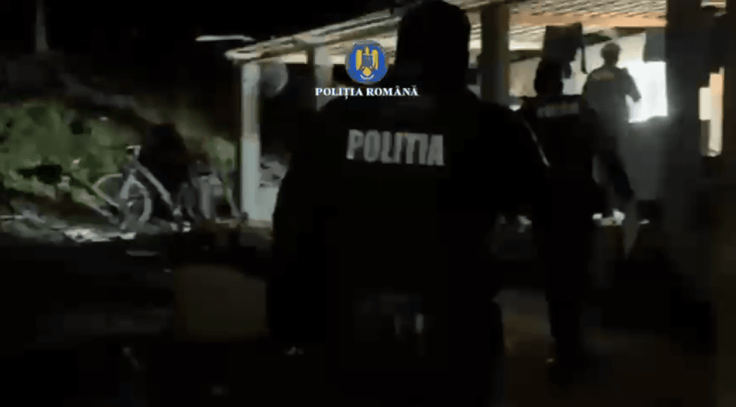 Mafia pădurilor din Glodeni, luată pe sus de mascați Mafia pădurilor din Glodeni, luată pe sus de mascați