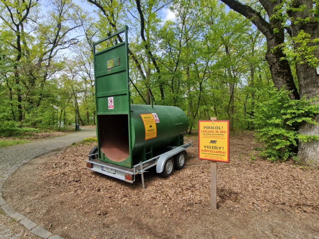 URSUL TERORIZEAZĂ DIN NOU TÂRGU MUREȘUL! Alertă maximă la Platoul Cornești și lângă Zoo URSUL TERORIZEAZĂ DIN NOU TÂRGU MUREȘUL! Alertă maximă la Platoul Cornești și lângă Zoo