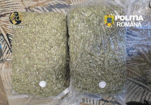 13 KILOGRAME DE CANABIS, OPRITE ÎN MUREȘ! Colet din Spania, interceptat înainte să ajungă pe piață 13 KILOGRAME DE CANABIS, OPRITE ÎN MUREȘ! Colet din Spania, interceptat înainte să ajungă pe piață