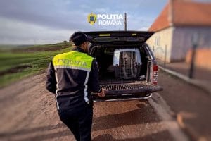 PERCHEZIȚII ÎNTR-UN DOSAR PRIVIND ORGANIZAREA DE LUPTE ÎNTRE CÂINI, ÎN JUDEȚUL MUREȘ PERCHEZIȚII ÎNTR-UN DOSAR PRIVIND ORGANIZAREA DE LUPTE ÎNTRE CÂINI, ÎN JUDEȚUL MUREȘ