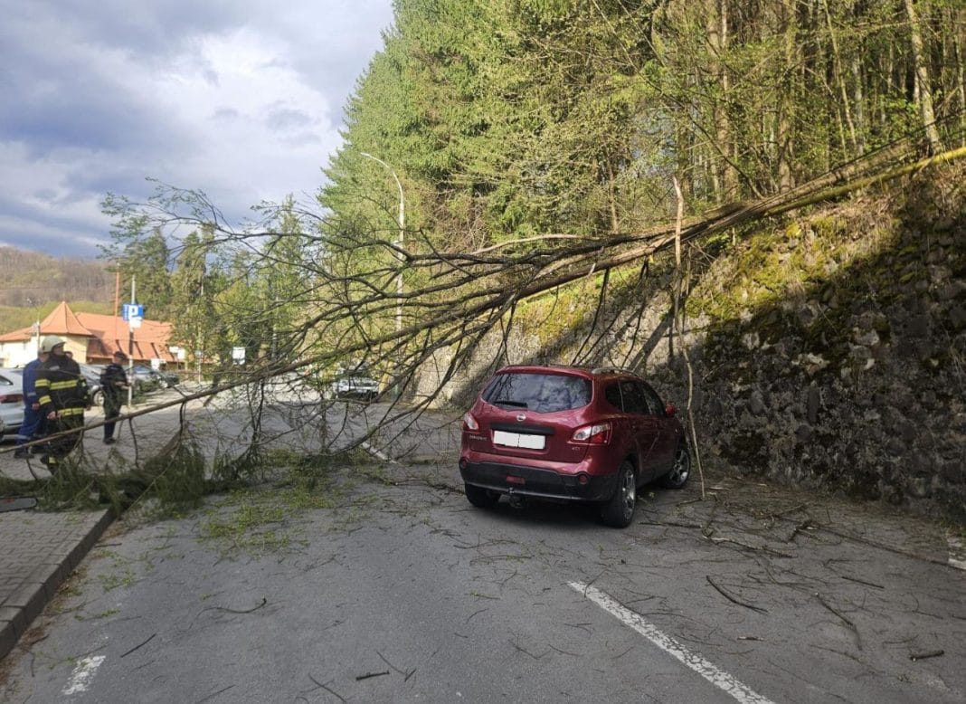 ALERTĂ LA SOVATA: COPAC PRĂBUȘIT PE CAROSABIL, POMPIERII AU INTERVENIT DE URGENȚĂ ALERTĂ LA SOVATA: COPAC PRĂBUȘIT PE CAROSABIL, POMPIERII AU INTERVENIT DE URGENȚĂ