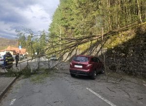 ALERTĂ LA SOVATA: COPAC PRĂBUȘIT PE CAROSABIL, POMPIERII AU INTERVENIT DE URGENȚĂ ALERTĂ LA SOVATA: COPAC PRĂBUȘIT PE CAROSABIL, POMPIERII AU INTERVENIT DE URGENȚĂ