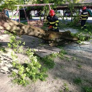 VÂNTUL A SEMĂNAT PANICĂ ÎN MUREȘ! Copaci gata să cadă, acoperișuri smulse și incendii izbucnite în mai multe orașe VÂNTUL A SEMĂNAT PANICĂ ÎN MUREȘ! Copaci gata să cadă, acoperișuri smulse și incendii izbucnite în mai multe orașe