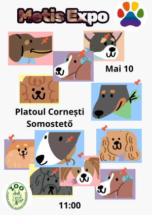 Frumusețea nu are nevoie de pedigree: MetișExpo la Platoul Corenești Frumusețea nu are nevoie de pedigree: MetișExpo la Platoul Corenești