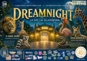 Nopții de Vis: O seară magică pentru copii speciali la Zoo Nopții de Vis: O seară magică pentru copii speciali la Zoo