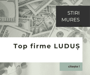 CINE FACE MILIOANE ÎN LUDUȘ? Clasamentul firmelor care domină economia locală! O companie a raportat un profit uriaș de peste 92 de milioane de lei CINE FACE MILIOANE ÎN LUDUȘ? Clasamentul firmelor care domină economia locală! O companie a raportat un profit uriaș de peste 92 de milioane de lei