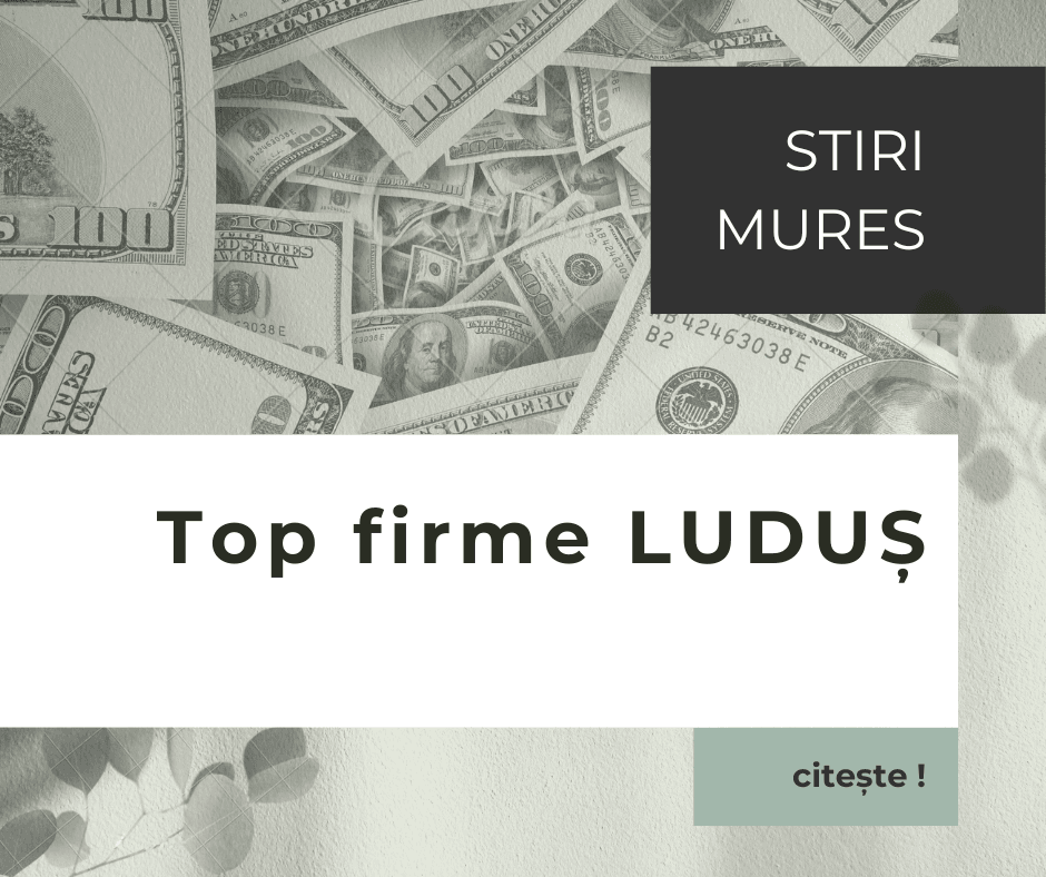 CINE FACE MILIOANE ÎN LUDUȘ? Clasamentul firmelor care domină economia locală! O companie a raportat un profit uriaș de peste 92 de milioane de lei CINE FACE MILIOANE ÎN LUDUȘ? Clasamentul firmelor care domină economia locală! O companie a raportat un profit uriaș de peste 92 de milioane de lei