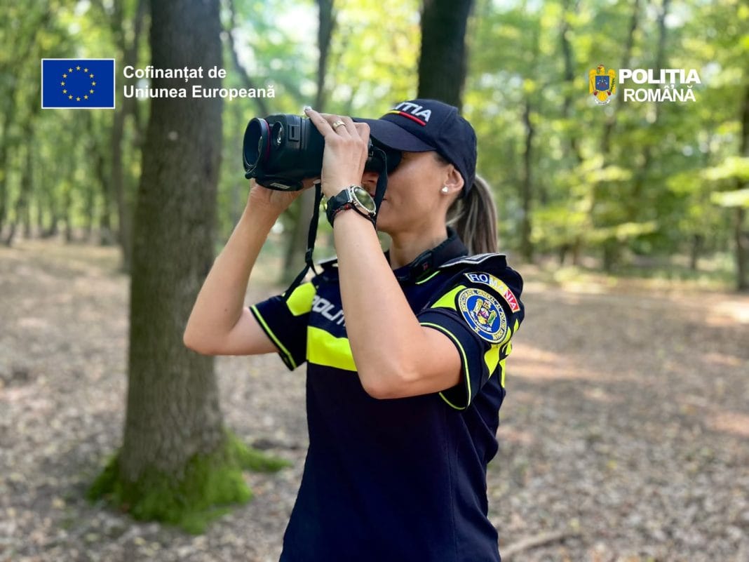proiect ipj mureș 4Est - bani europeni pentru lupta cu defrișările